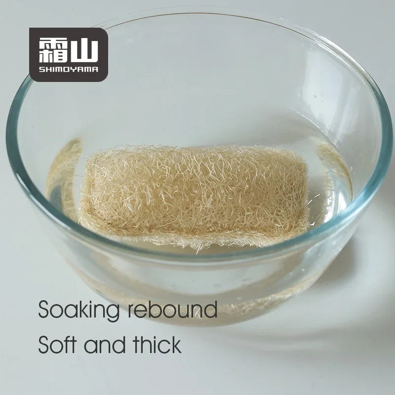 Shimoyama Natural Loofah Dish Wipe