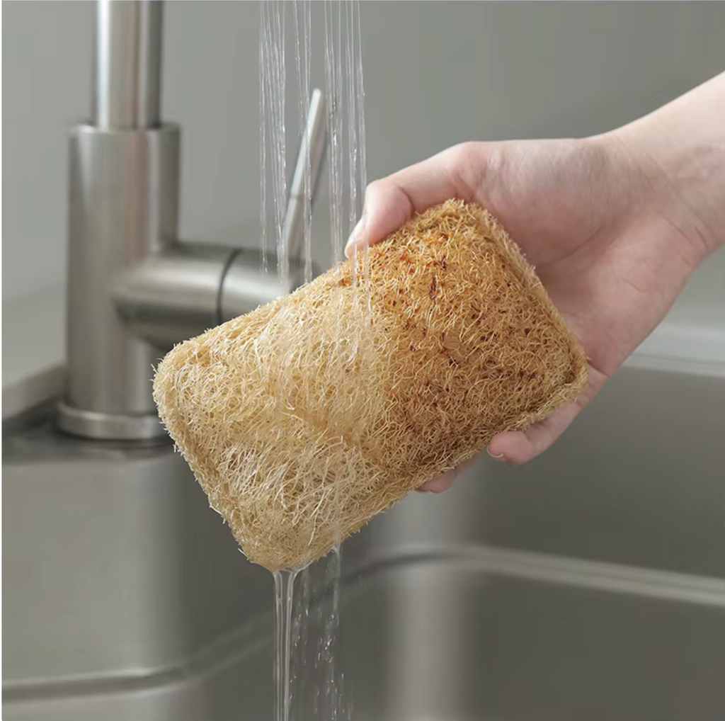 Shimoyama Natural Loofah Dish Wipe