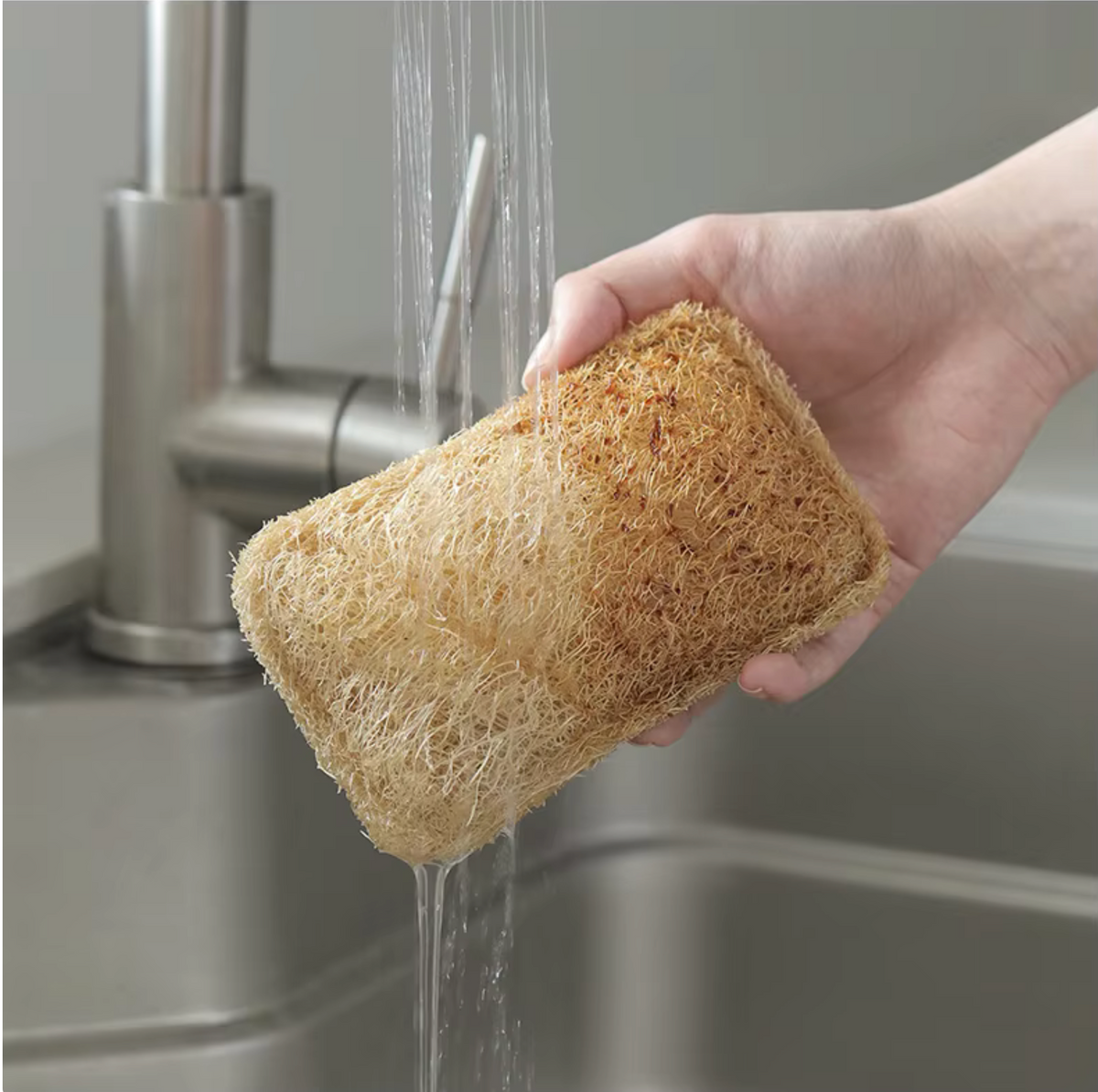 Shimoyama Natural Loofah Dish Wipe