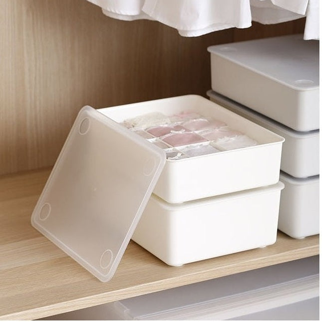 Shimoyama Underwear Storage Box