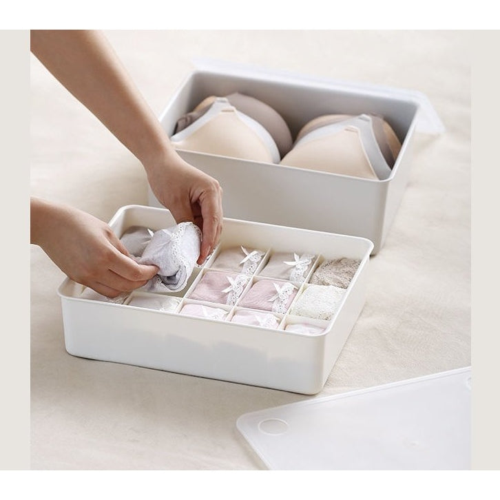 Shimoyama Underwear Storage Box