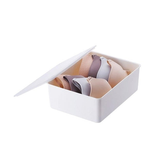 Shimoyama Underwear Storage Box